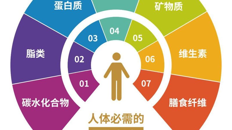 有機膳食補充劑品牌哪家好